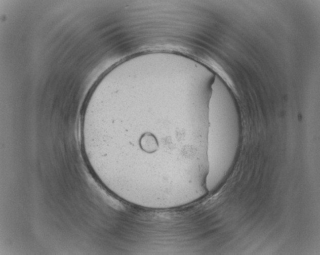 X0000062911084200602101826