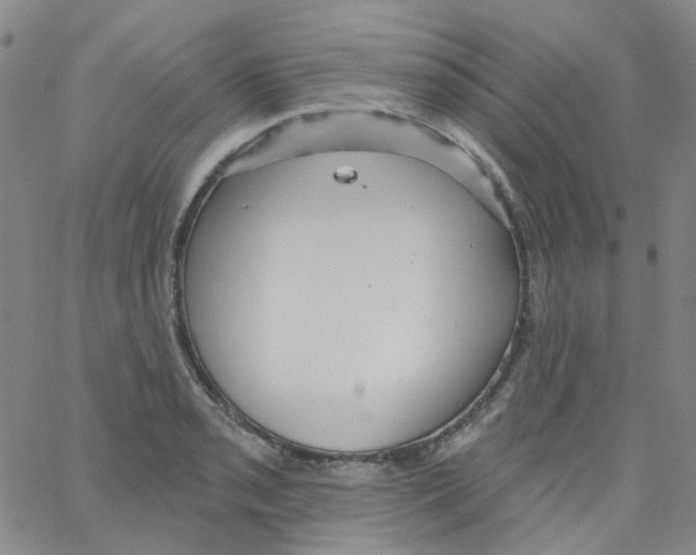 X0000062911085200602101826