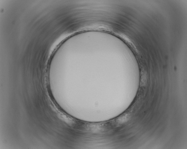 X0000062911086200602101826