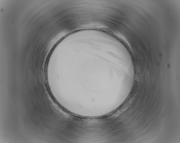 X0000062911087200602101826