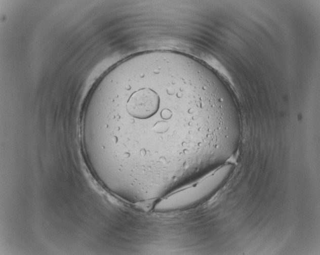 X0000062911088200602101826