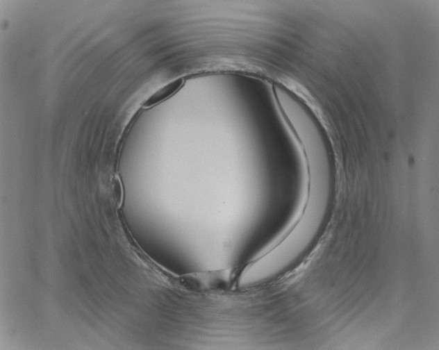 X0000062911089200602101826