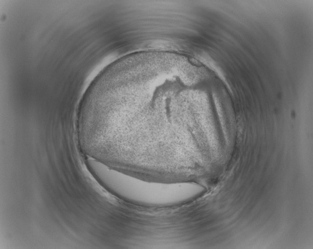 X0000062911091200602101826