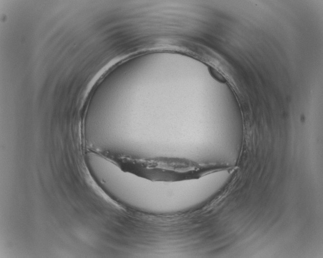 X0000062911092200602101826