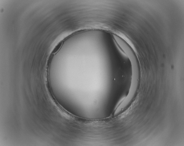 X0000062911093200602101826