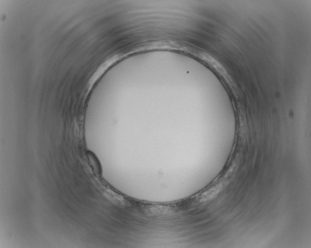 X0000062911097200602101826