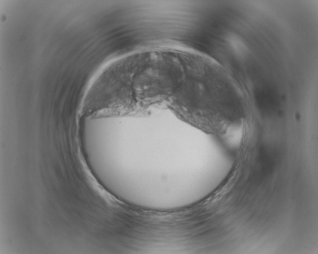 X0000062911099200602101826