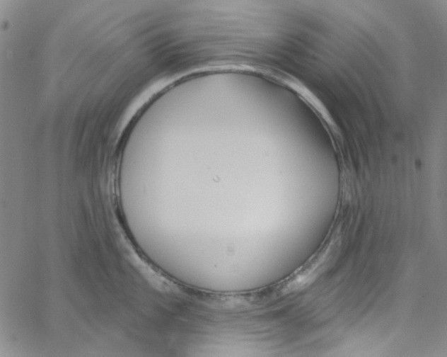 X0000062911101200602101826