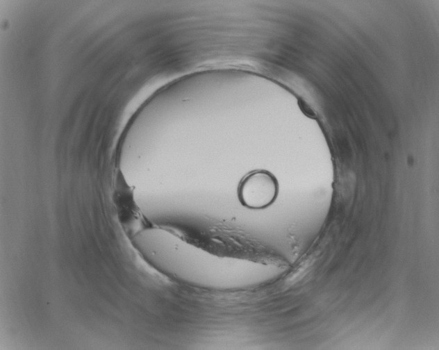 X0000062911102200602101826