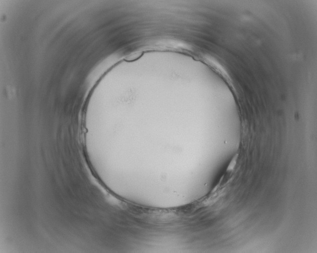 X0000062911103200602101826