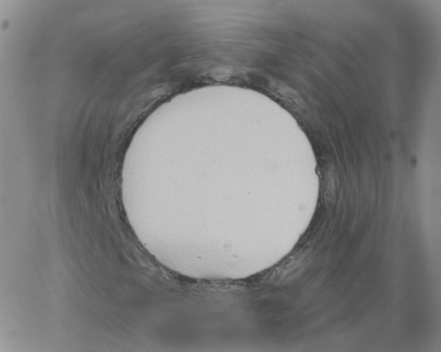 X0000062911105200602101825