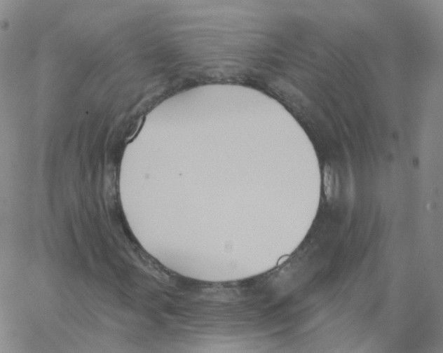 X0000062911107200602101825