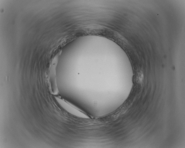 X0000062911108200602101825