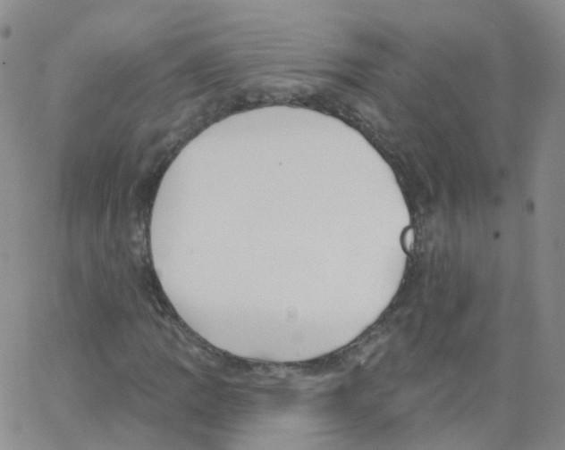 X0000062911109200602101825