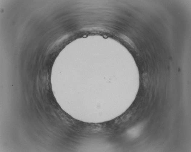 X0000062911111200602101825