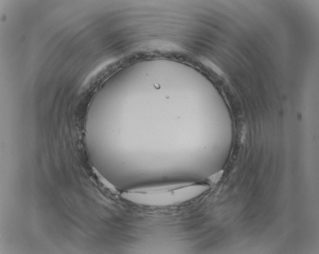 X0000062911112200602101825