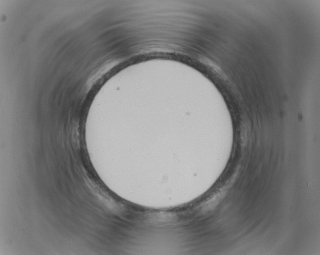 X0000062911113200602101825