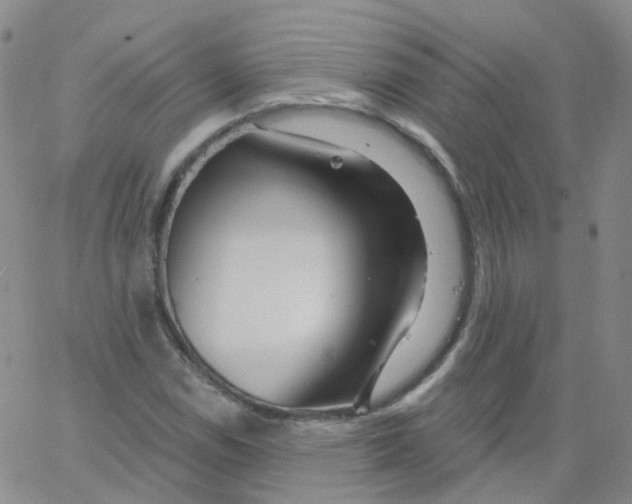 X0000062911114200602101825