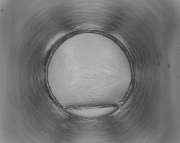 X0000062911115200602101825