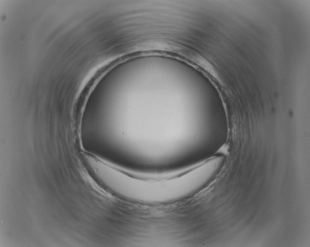 X0000062911116200602101825