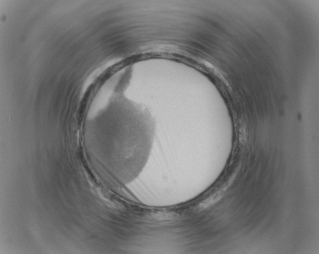 X0000062911117200602101825