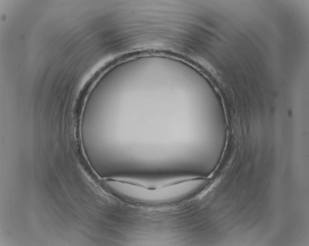 X0000062911118200602101825