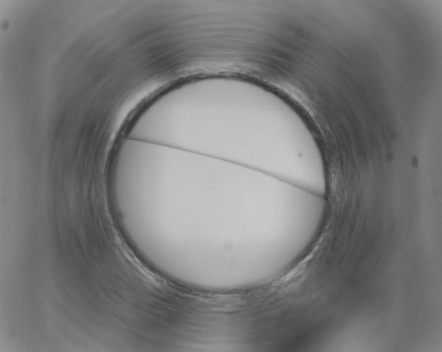 X0000062911119200602101825