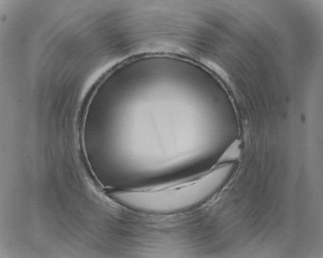 X0000062911120200602101825