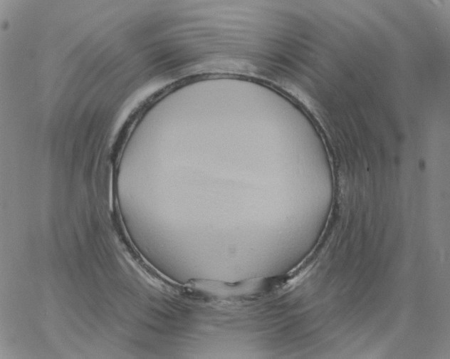 X0000062911123200602101825