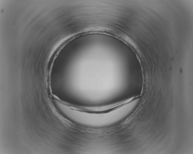 X0000062911124200602101825