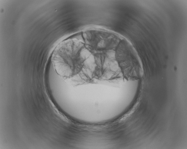 X0000062911125200602101825