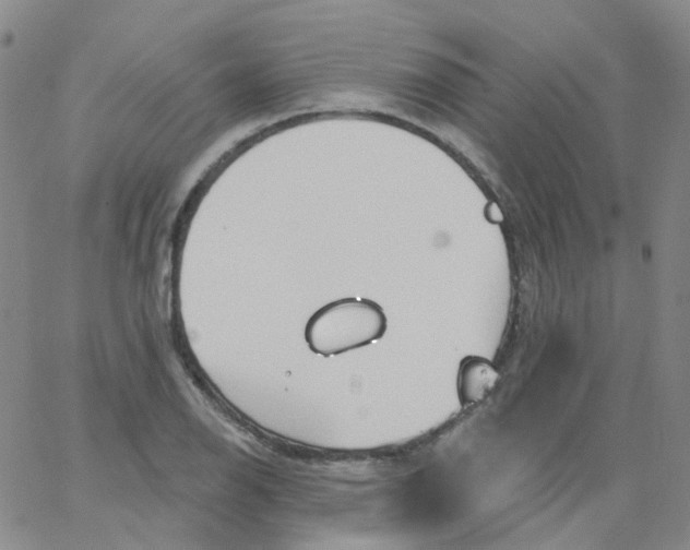 X0000062911126200602101825