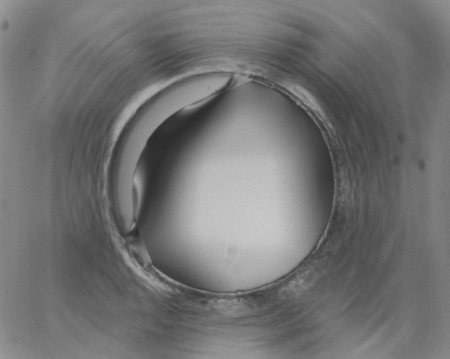 X0000062911128200602101825