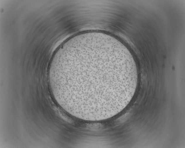 X0000062911129200602101825