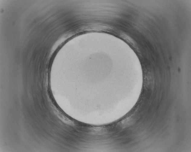 X0000062911130200602101825