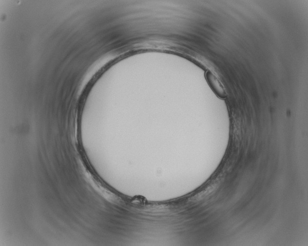 X0000062911131200602101825