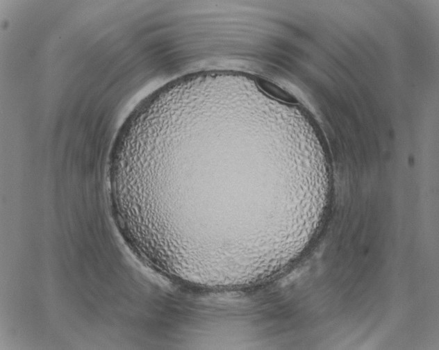 X0000062911133200602101825