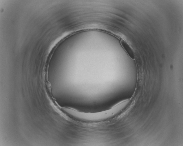 X0000062911134200602101825