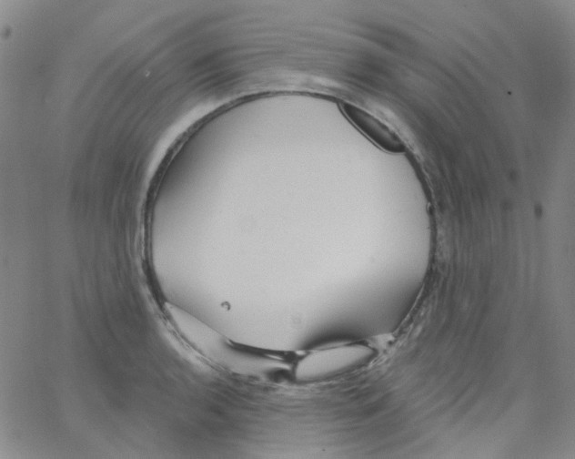 X0000062911136200602101825