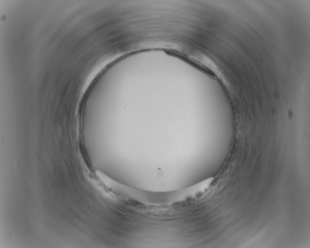 X0000062911140200602101825