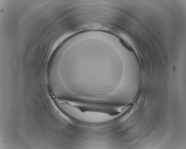 X0000062911141200602101825