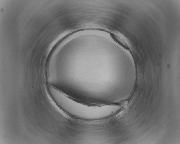 X0000062911142200602101825