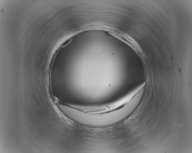 X0000062911144200602101825