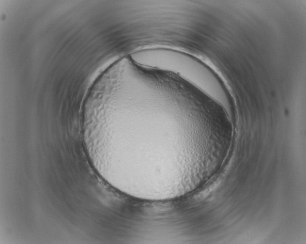 X0000062911145200602101825