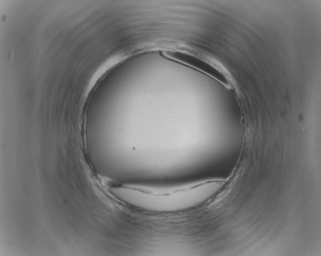 X0000062911146200602101825