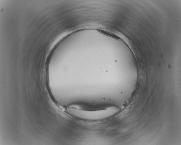 X0000062911147200602101825