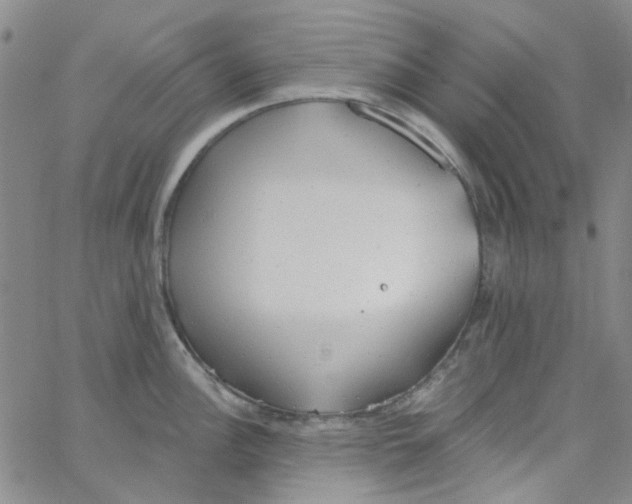 X0000062911148200602101825