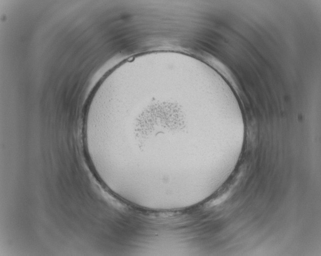 X0000062911149200602101825