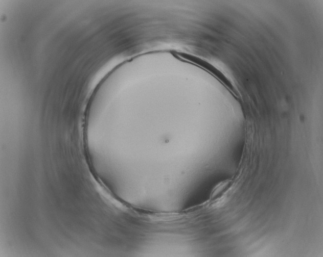 X0000062911151200602101826