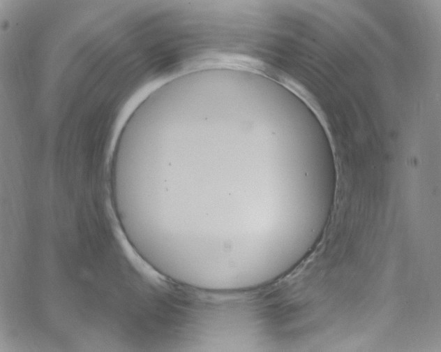 X0000062911152200602101826